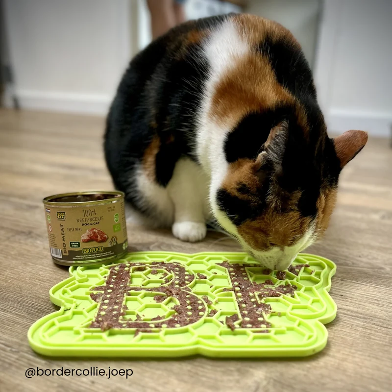 100% viande de bœuf BIO pour chien et chat