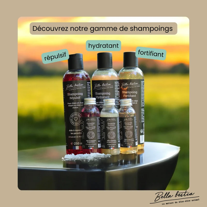 Shampoing à la noix de coco