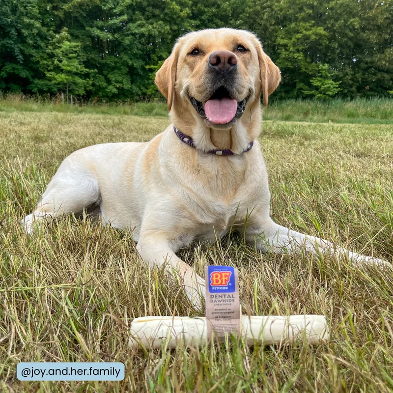 Os à mâcher pour chien