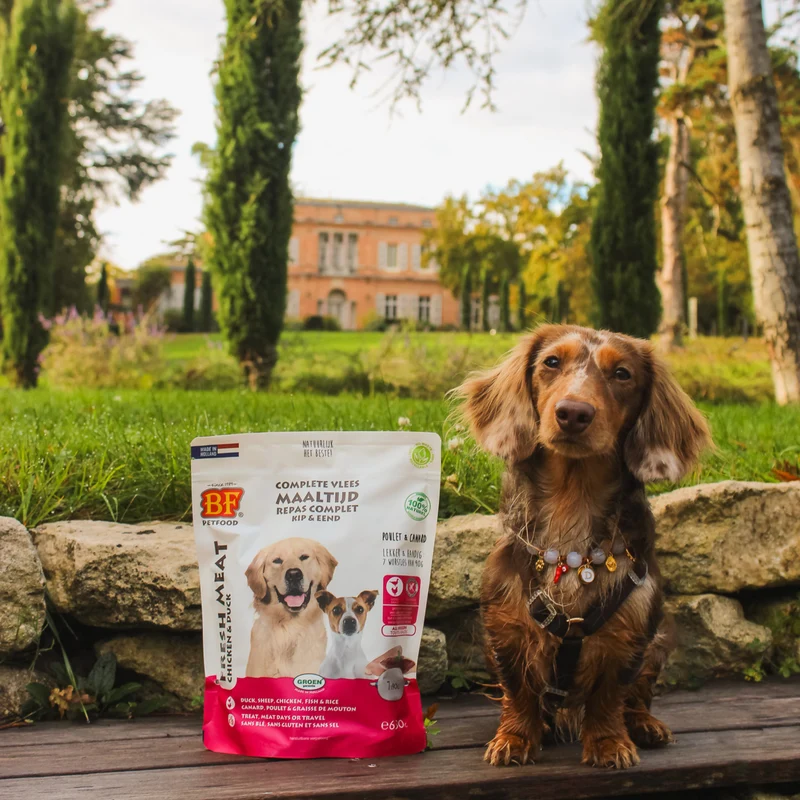 Saucisses au poulet et canard pour chien