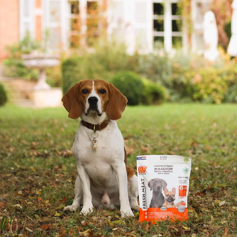 Saucisses au poulet et saumon pour chien