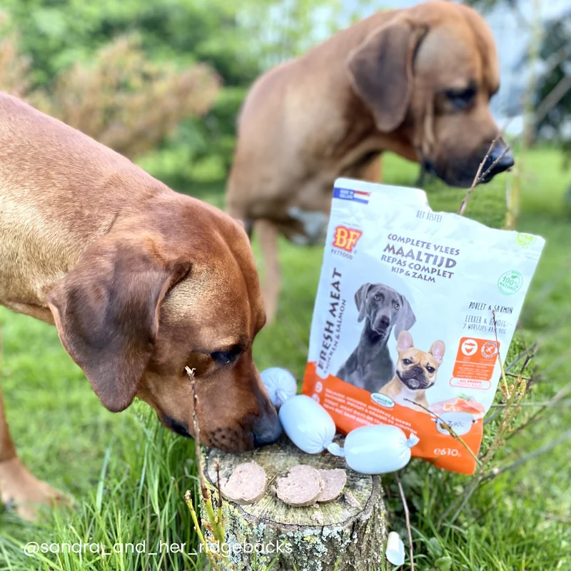 Saucisses au poulet et saumon pour chien