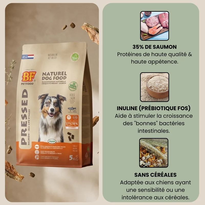 Croquettes pressées au saumon sans céréales pour chien