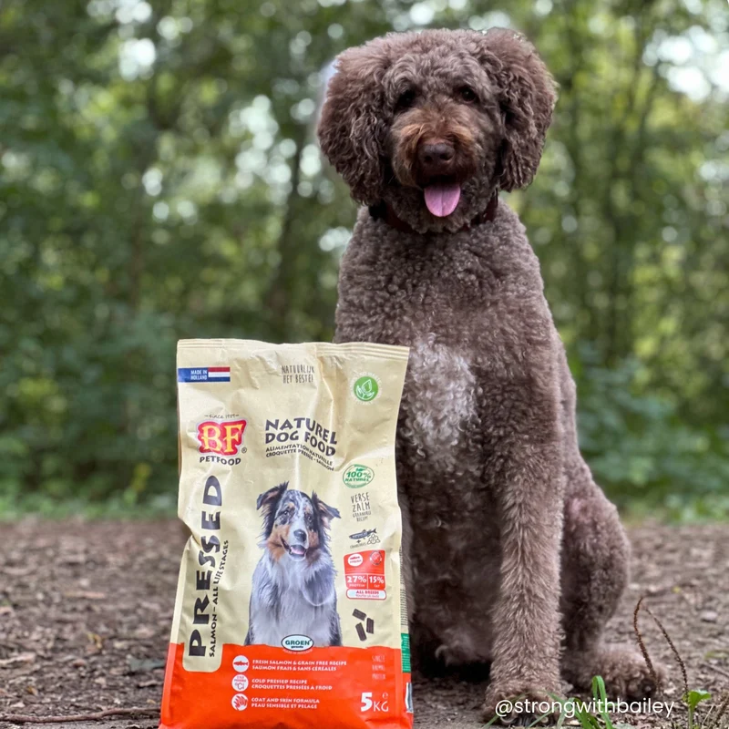 Croquettes pressées au saumon sans céréales pour chien