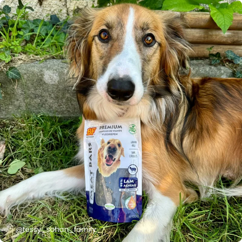 Lamelles de viande séchée à l’agneau pour chien