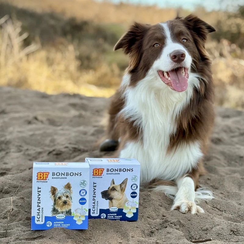Bonbons répulsifs parasites pour chien