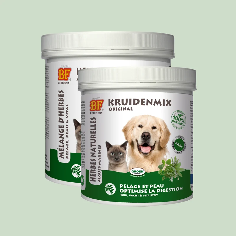 Herbes naturelles digestion pour chien et chat