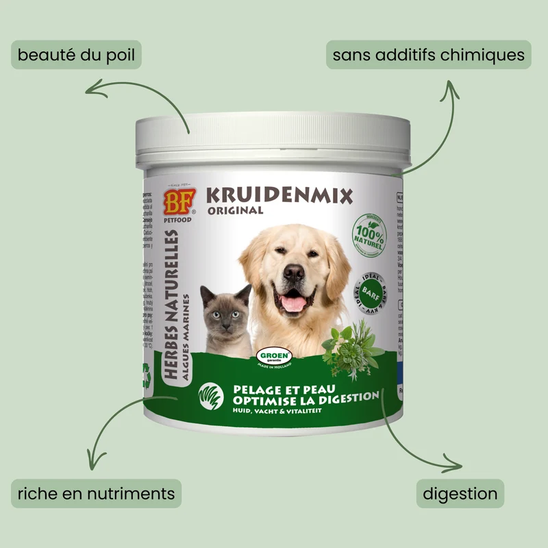 Herbes naturelles digestion pour chien et chat