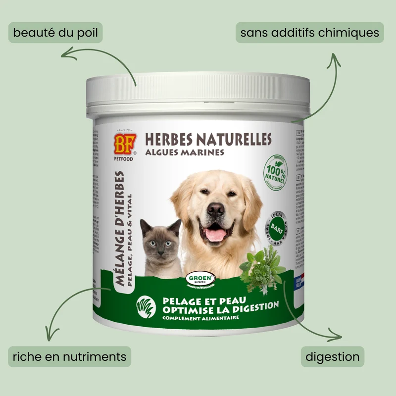 Herbes naturelles digestion pour chien et chat