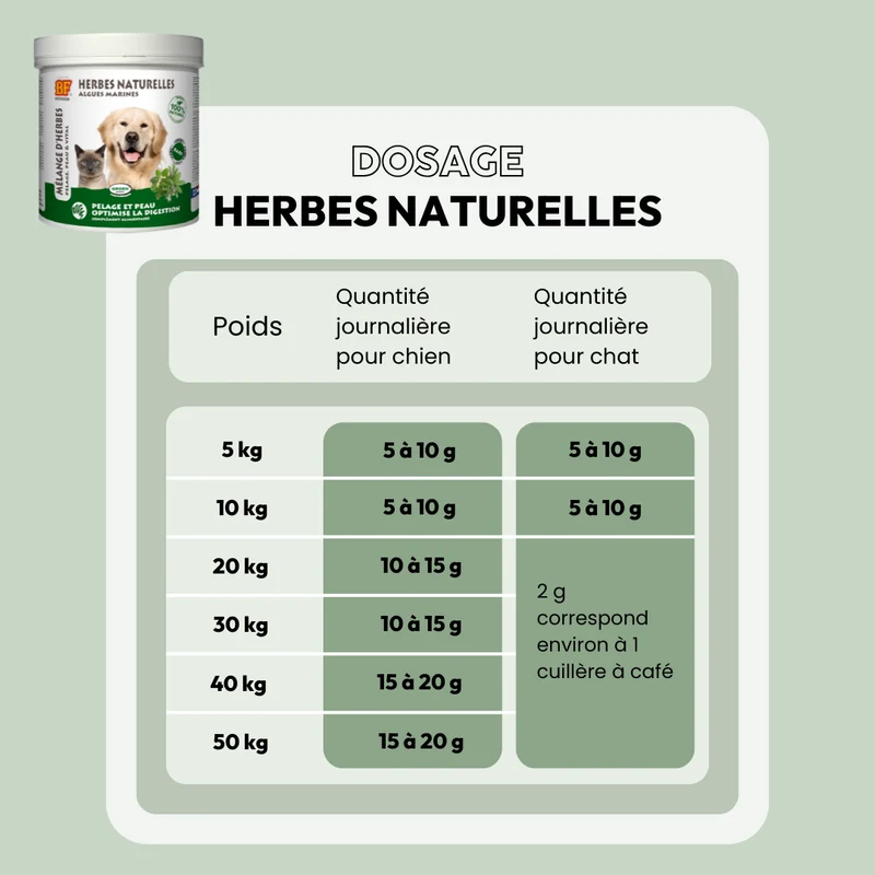 Herbes naturelles digestion pour chien et chat