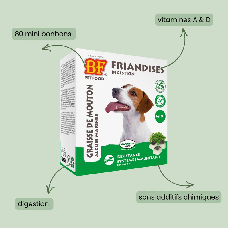 Bonbons aux algues : Complément alimentaire Digestion pour chien