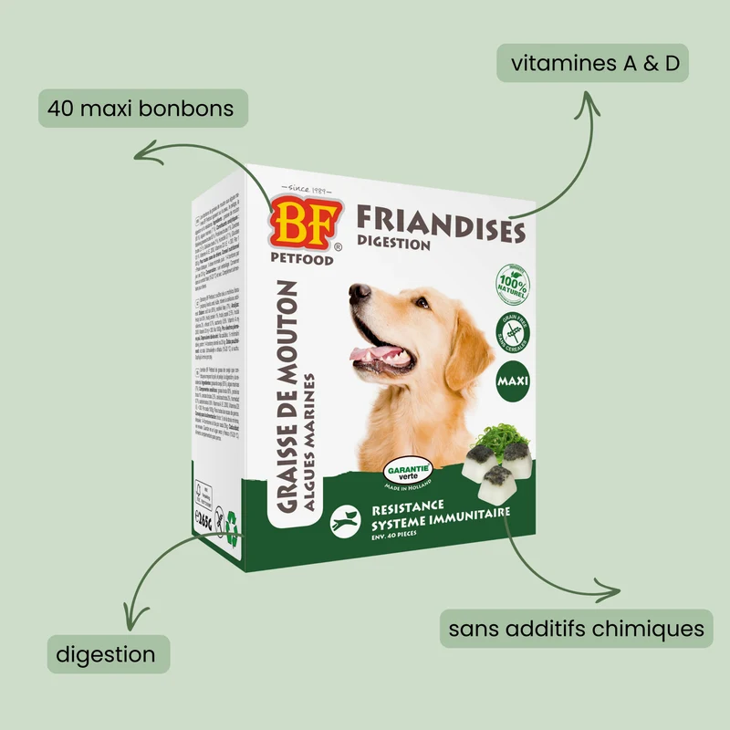 Bonbons aux algues : Complément alimentaire Digestion pour chien
