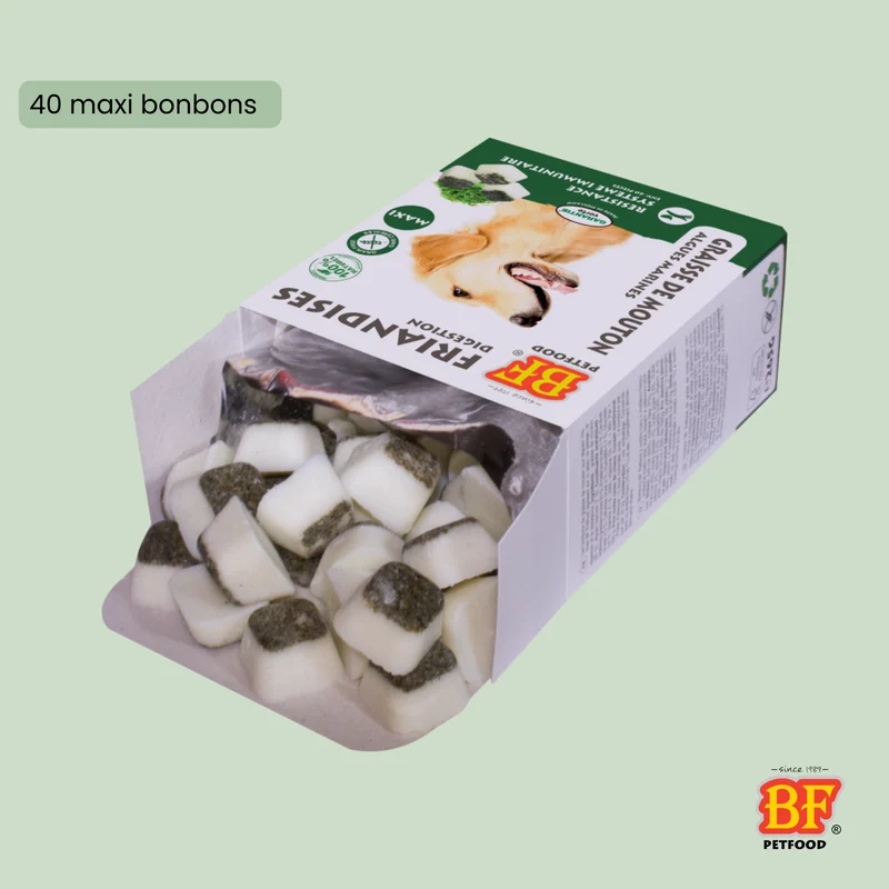 Bonbons aux algues : Complément alimentaire Digestion pour chien