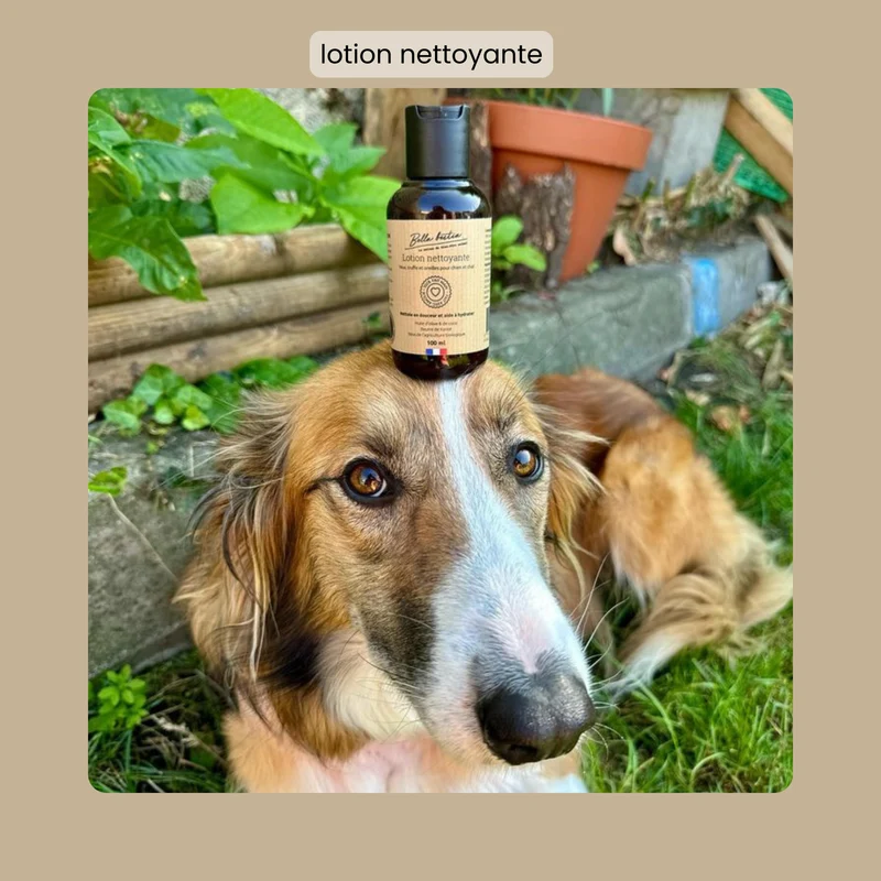 Lotion soin des yeux pour chien et chat