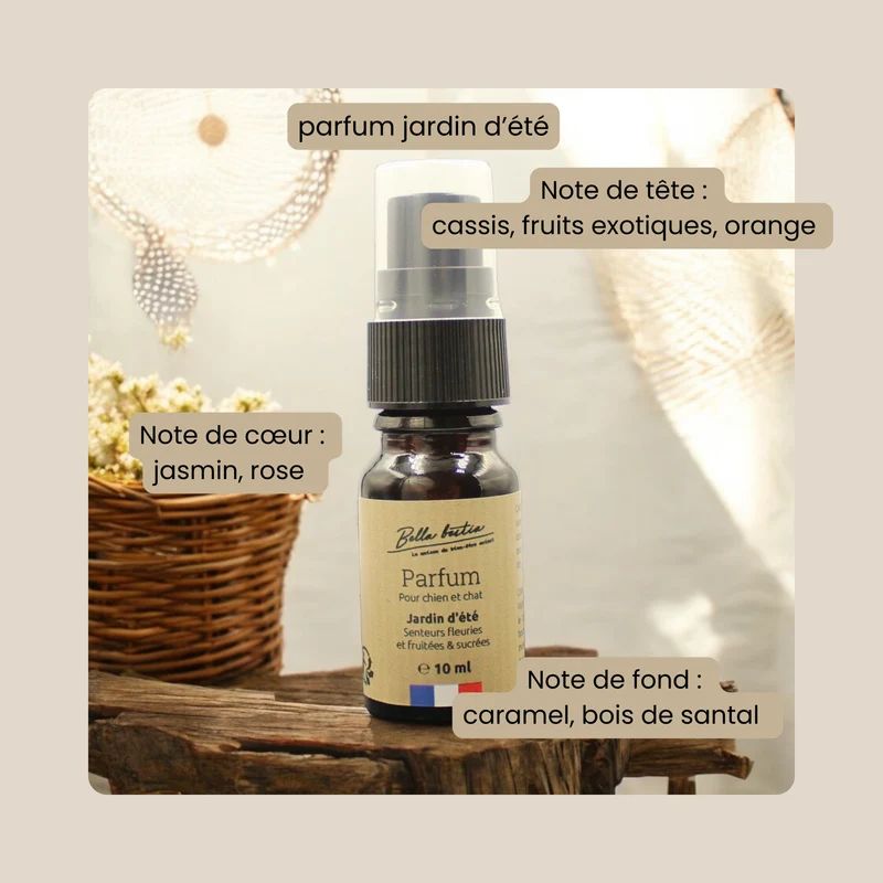 Parfum pour chien et chat sans alcool
