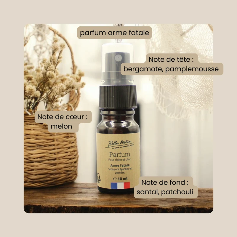 Parfum pour chien et chat sans alcool