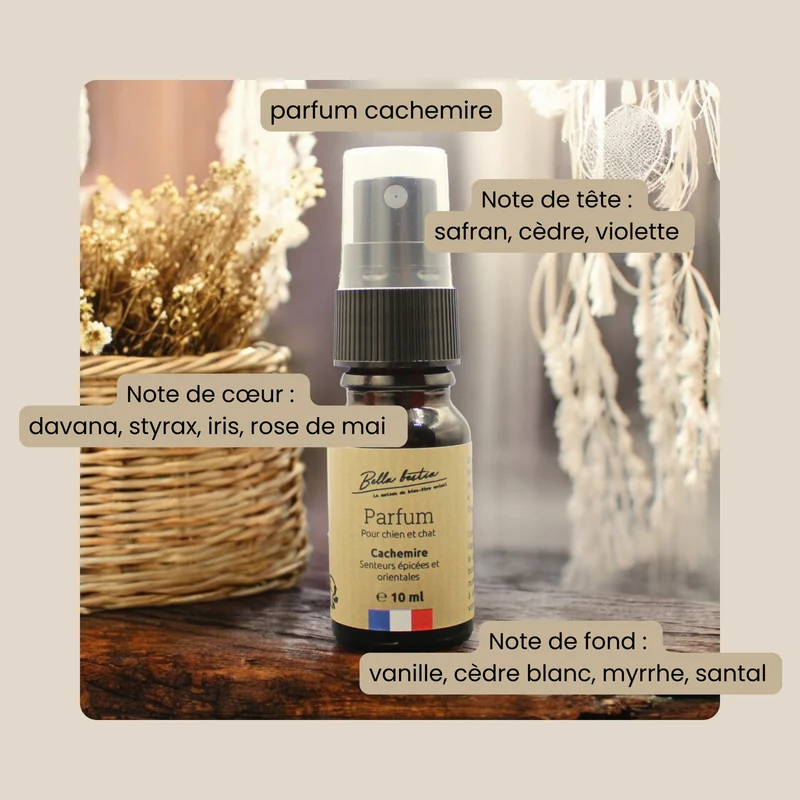 Parfum pour chien et chat sans alcool