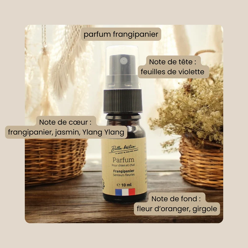Parfum pour chien et chat sans alcool