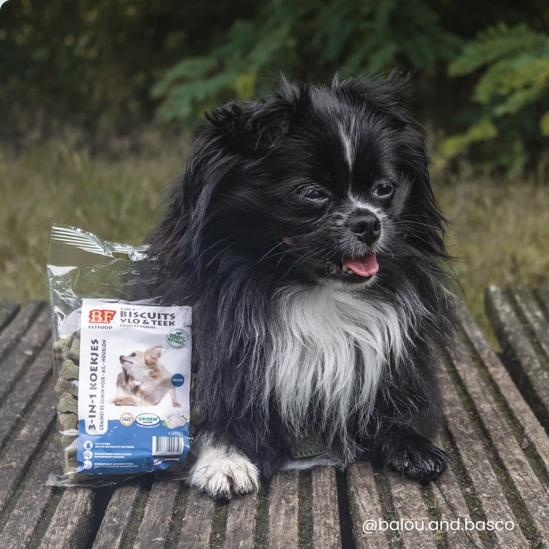 Biscuits répulsifs parasites pour chien