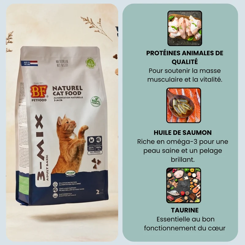 Croquettes pour chat adulte grande race