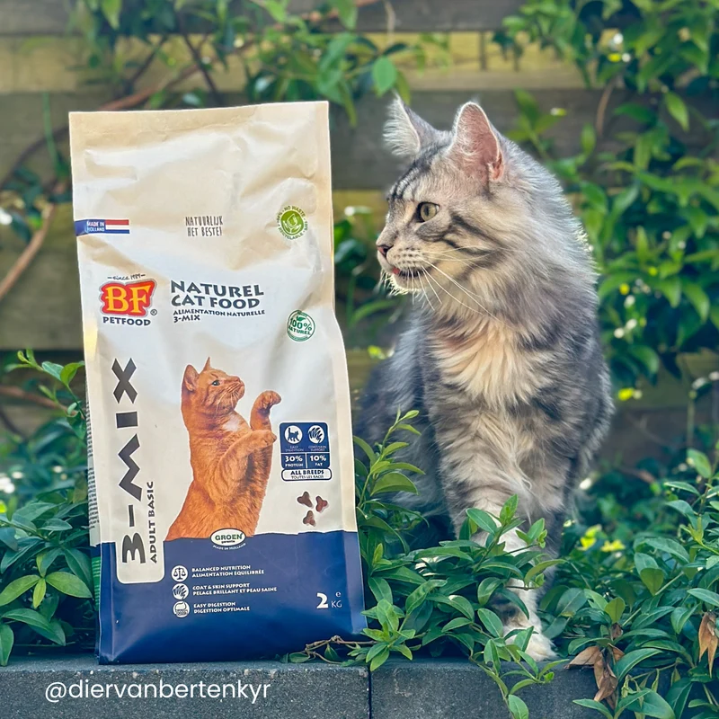 Croquettes pour chat adulte grande race