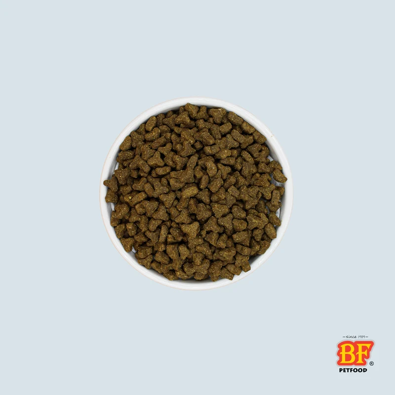 Croquettes pour chat adulte grande race