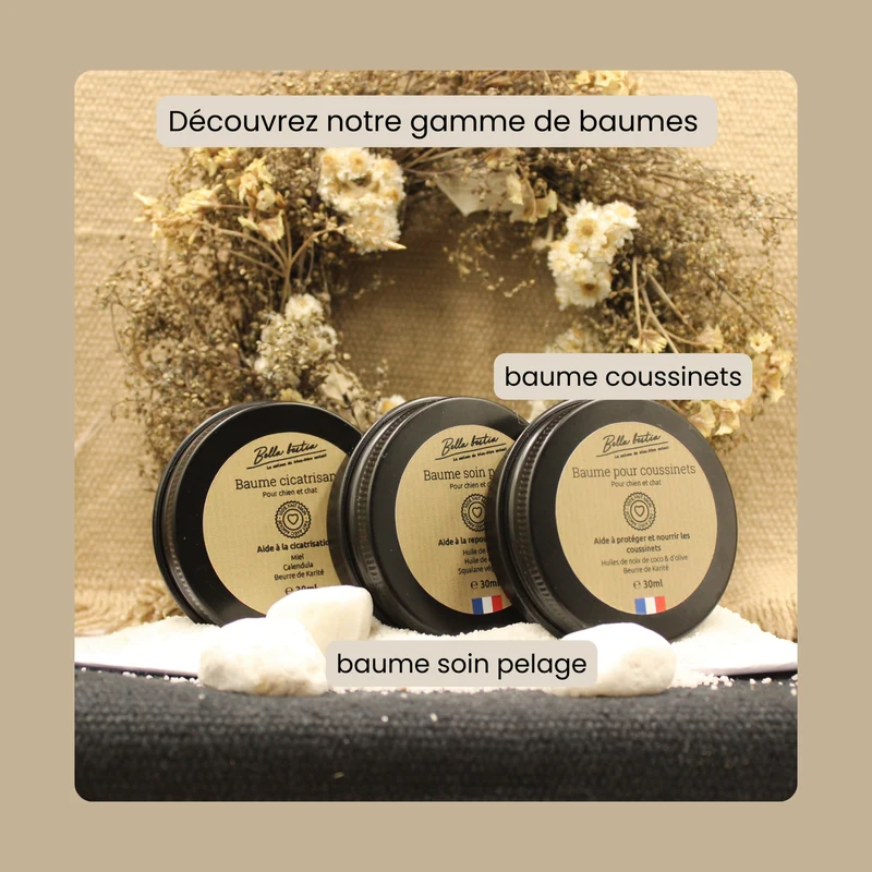 Crème Cicatrisante pour chien et chat