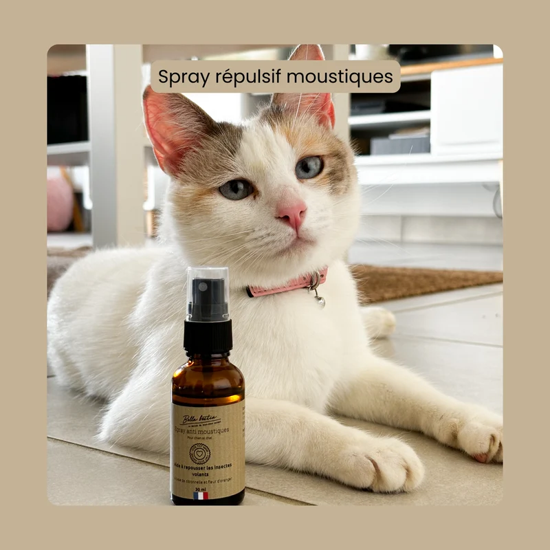 Spray anti moustique pour chien et chat