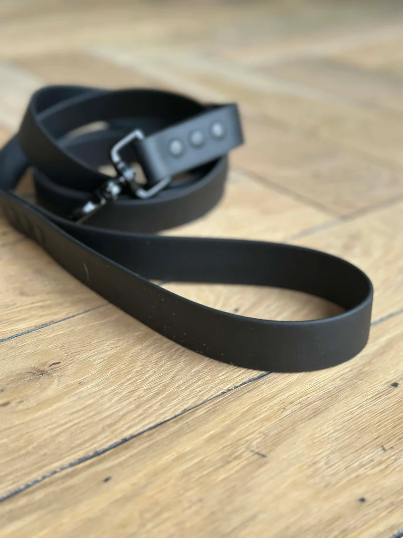 Laisse Biothane® noire