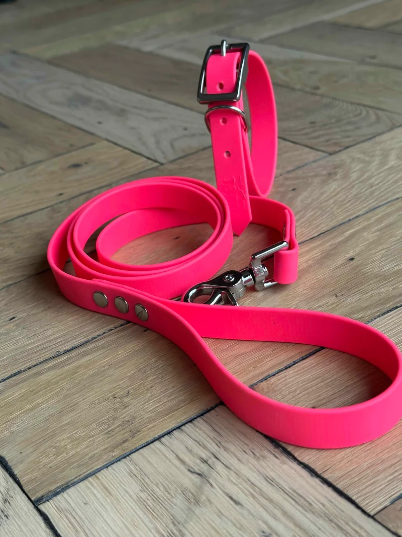 Laisse Biothane® Rose peps