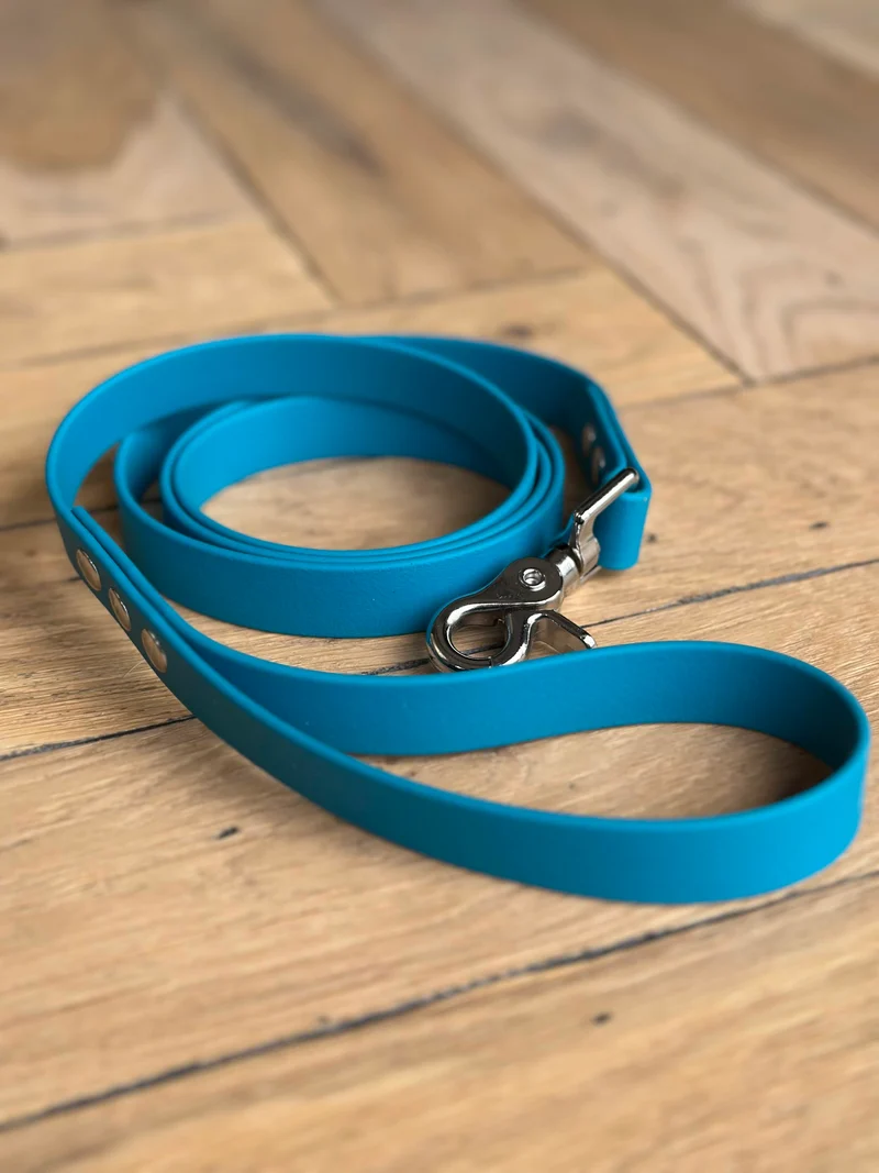 Laisse Biothane® Turquoise et argent