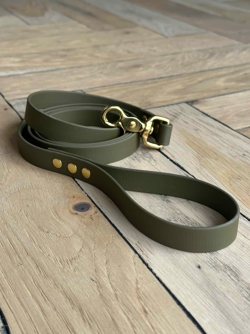 Laisse Biothane® kaki-or