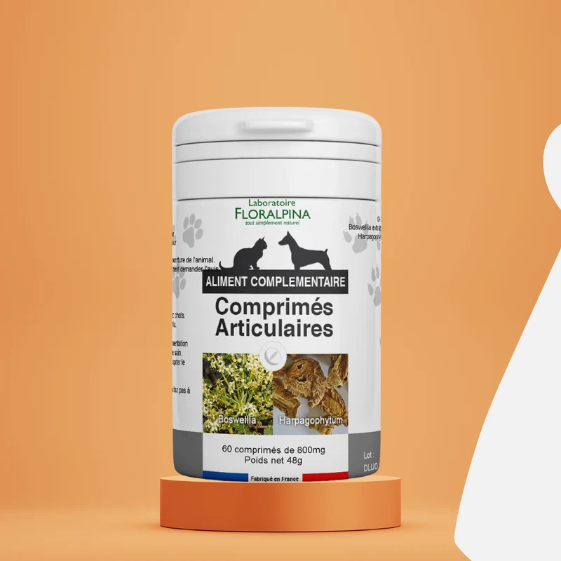 Complément alimentaire arthrose chien et chat