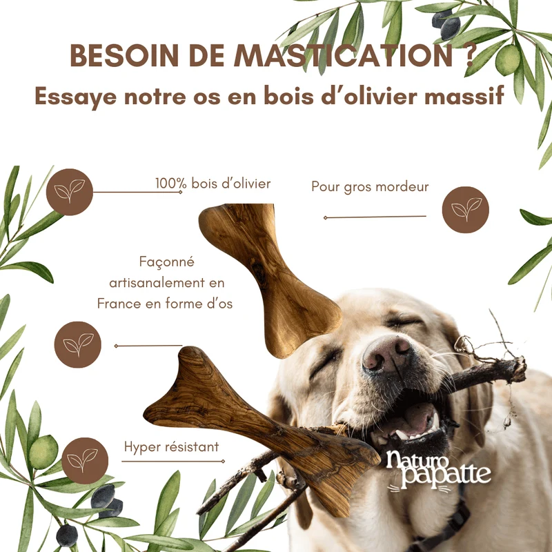 Os en bois d'olivier
