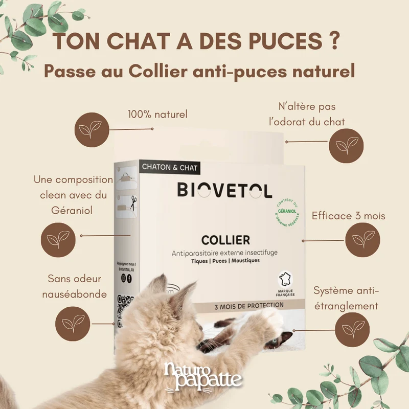 Collier anti puces chat