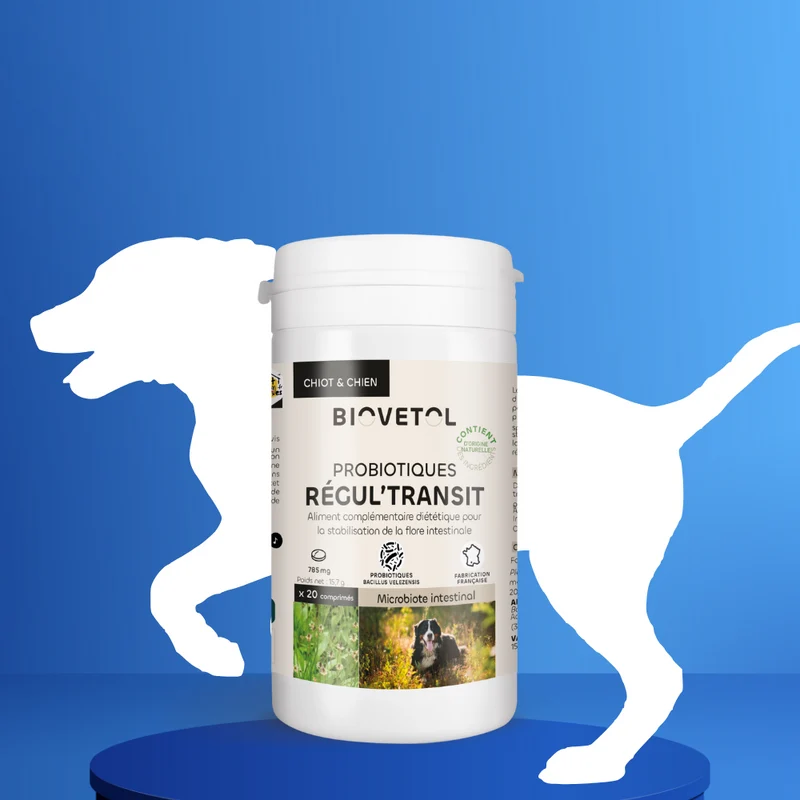 Probiotiques chien - Régul'transit
