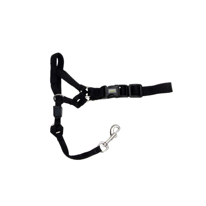 COASTAL WALK'N TRAIN Licol Nylon #1 S Noir