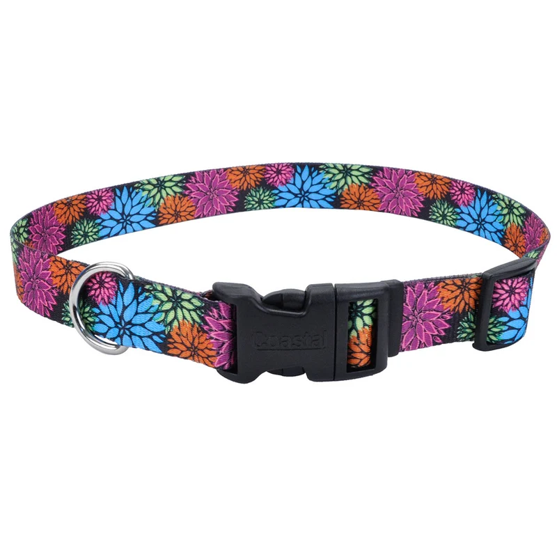 PET ATTIRE STYLES Collier Nylon 3/4x14-20" WDF