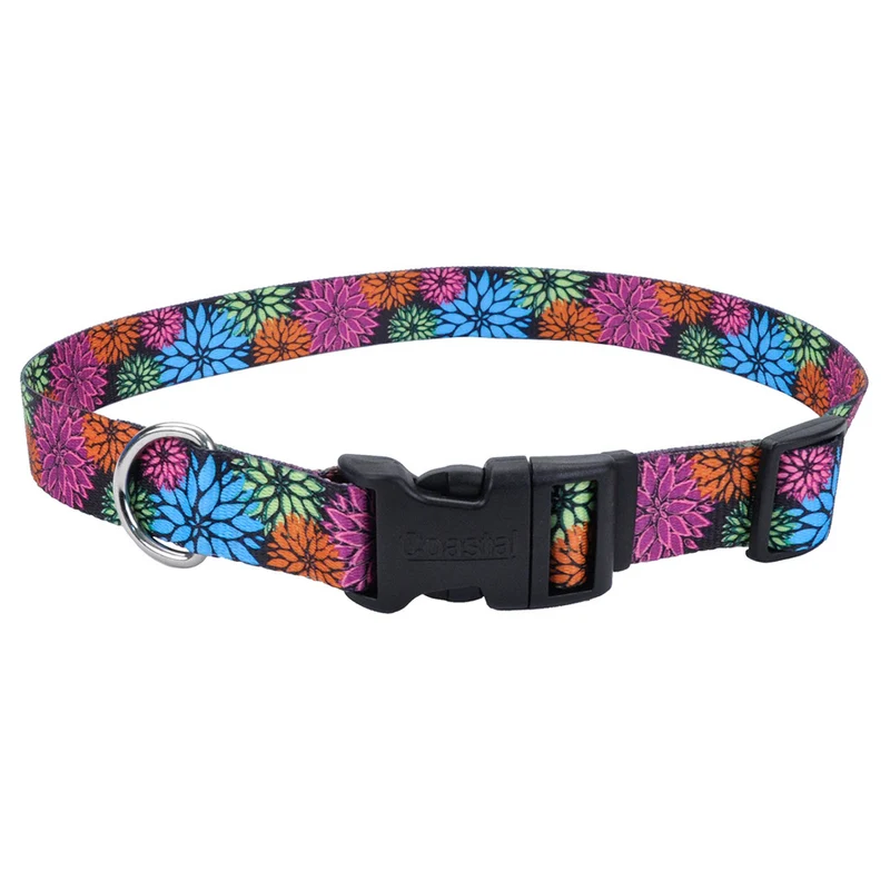 PET ATTIRE STYLES Collier Nylon 3/8x8-12" WDF