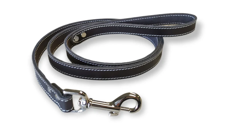ARIZONA Laisse Cuir Simple 3/4x48" Brun