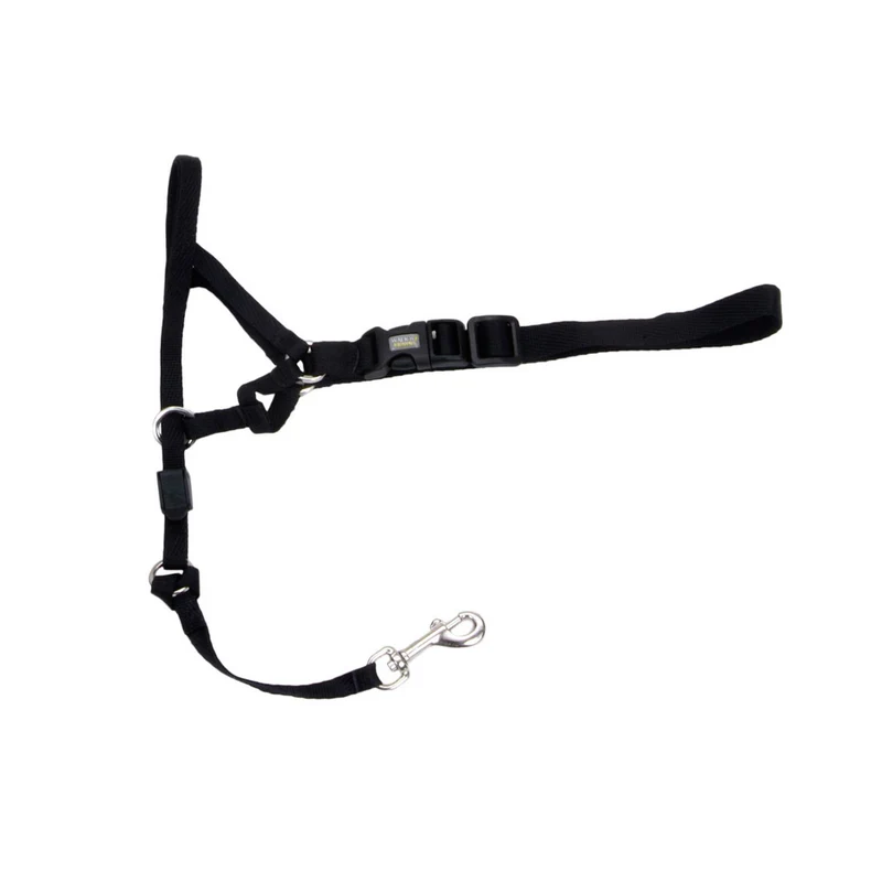 COASTAL WALK'N TRAIN Licol Nylon #2 M Noir