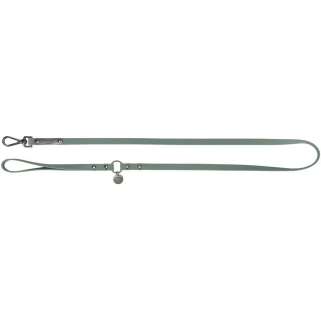*CITYSTYLE Laisse en PVC S/M Sauge