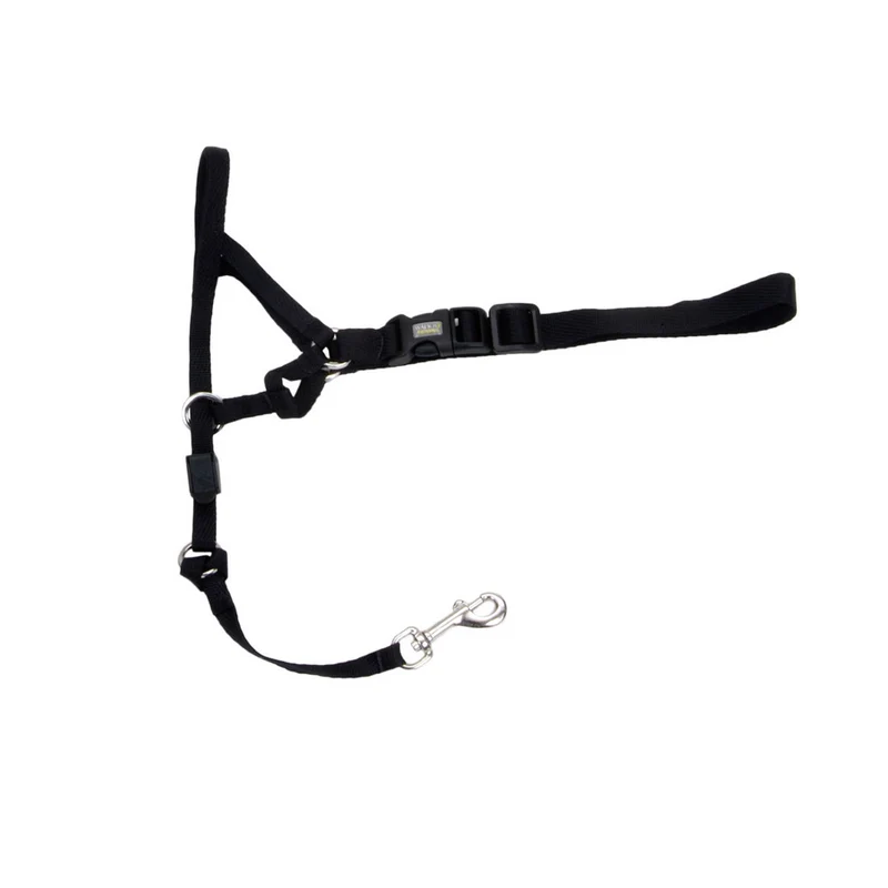 COASTAL WALK'N TRAIN Licol Nylon #3 L Noir