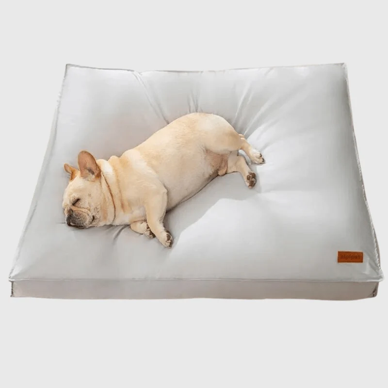 Coussin Orthopédique Mémoire Forme Gros Chien