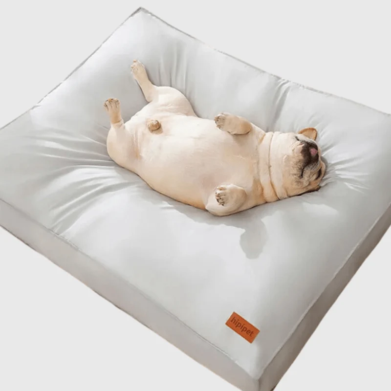 Coussin Orthopédique Mémoire Forme Gros Chien