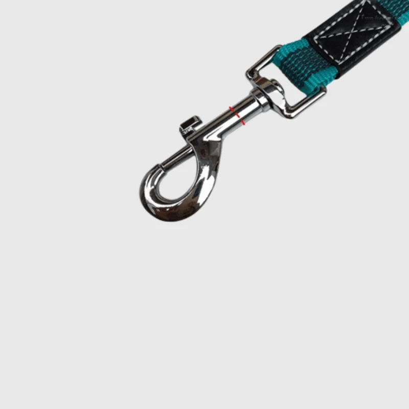 Longe Dressage Nylon 5m Gros Chien