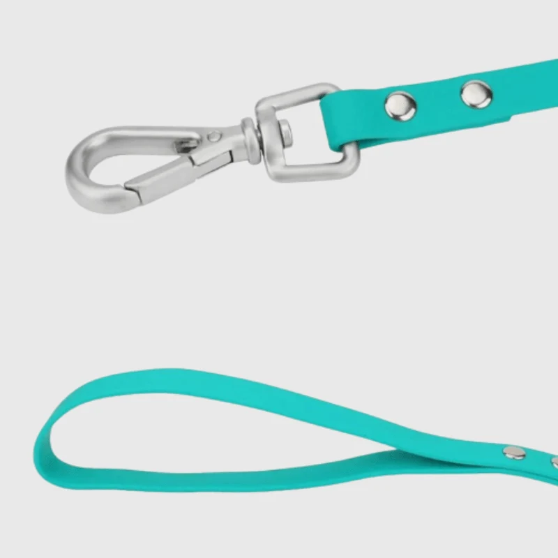 Longe Nylon Renforcée 20m Gros Chien