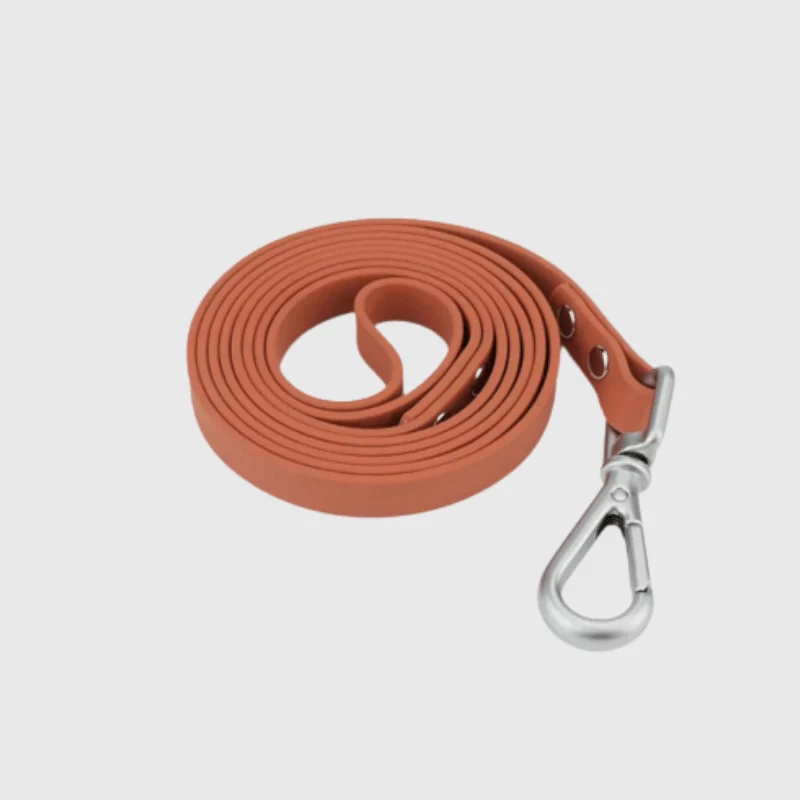 Longe Nylon Renforcée 20m Gros Chien