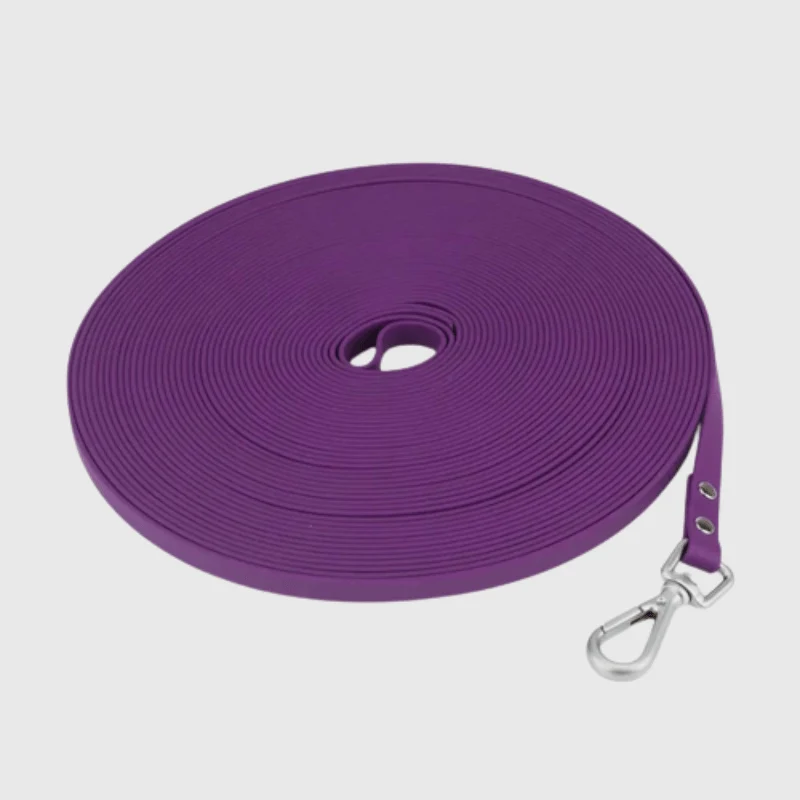 Longe Nylon Renforcée 20m Gros Chien