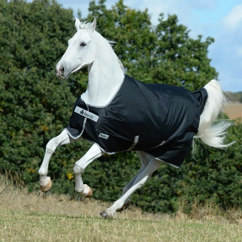 COUVERTURE ANNIVERSARY TURNOUT LIGHT SD | BUCAS